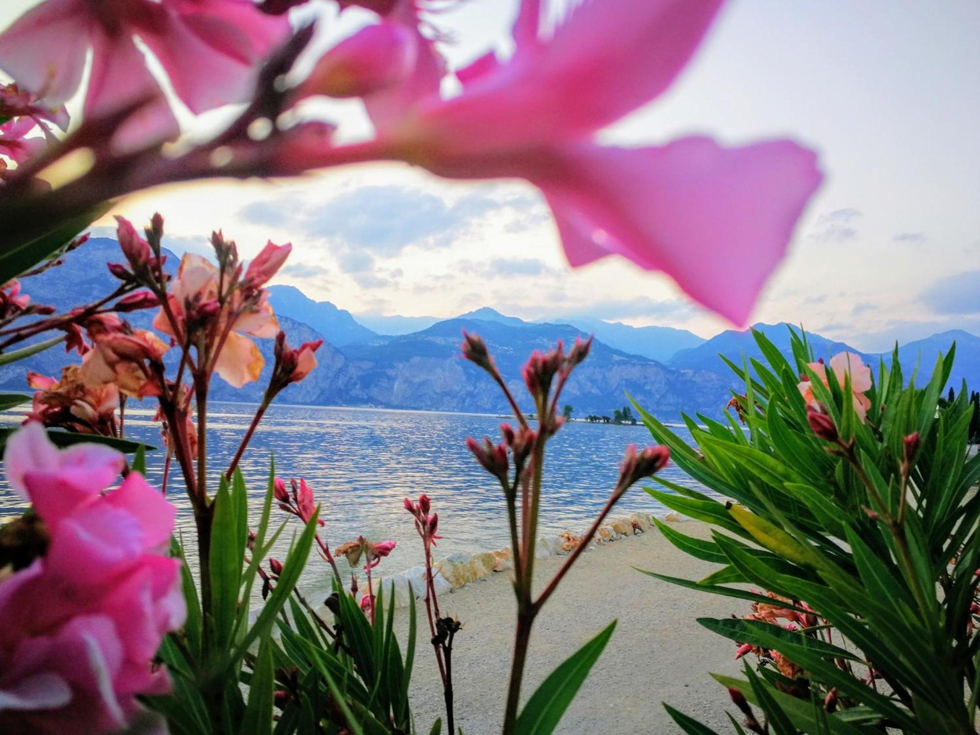 Hotel Drago - Garda Lake Collection Brenzone sul Garda Luaran gambar
